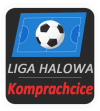 Liga halowa