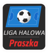 Liga halowa